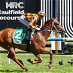 bet on caulfield stakes